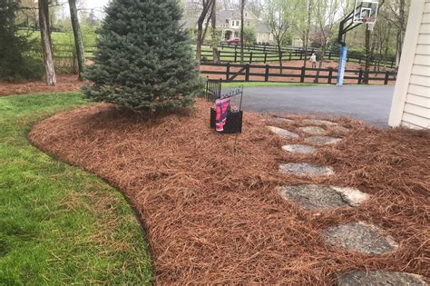 Longleaf Pine Straw Bale — Cincinnati Pine Mulch Llc