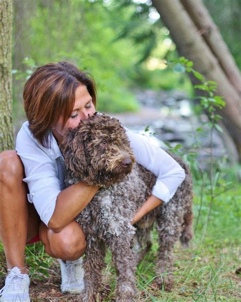 Jahrhundert zurück, wo er in. Beautiful brown Lagotto romagnolo with his owner ...