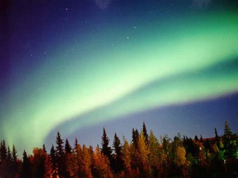 Aurora In Fairbanks Alaska Wallpaper And Backgrounds 640 X 480