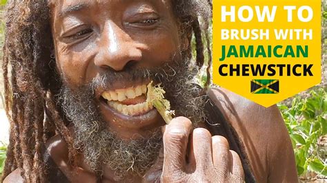 How To Use Jamaican Chew Stick Natural Toothpowder With Sea Moss