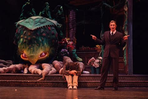 damon kirsche actor singer 4 23 5 2 little shop of horrors at cabrillo music theatre
