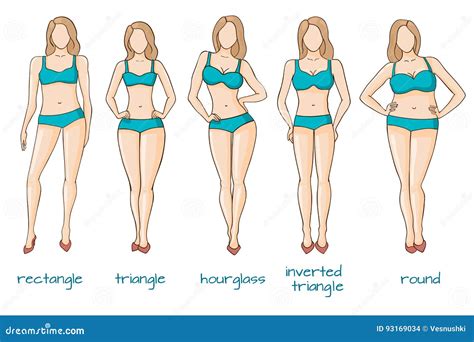 Female Body Figures Woman Shapes Five Types Stock Vector Illustration Of Hips Model 93169034