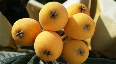 21 Types Of Yellow Fruits With Their Name And Picture Identification