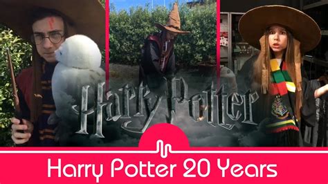 Harry Potter The Little Wizard Turns 20 Years Old 220