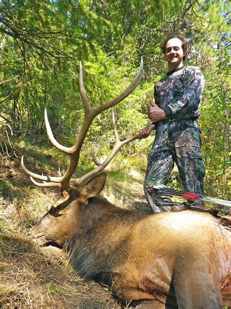 Best Archery Elk Hunts Montana Hunting Outfitter