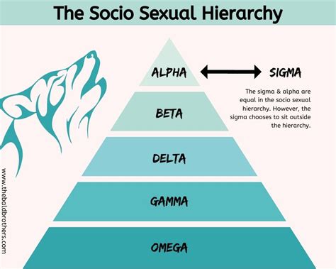 The Sigma Male Explained Understanding The Lone Wolf