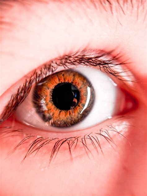 Close Up Photo Of An Eye · Free Stock Photo