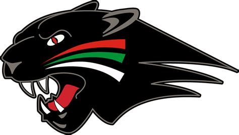 25 transparent png of florida panthers logo. Download Augsburger Panther Head Logo - Nation Ford High School Logo Clipart Png Download - PikPng