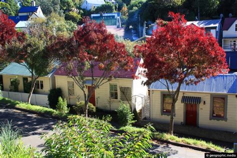 Suburb Of Thorndon In Wellington Geographic Media
