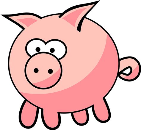 Funny Pig Cartoon