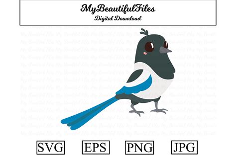 Magpie Clipart Design Graphic By Mybeautifulfiles · Creative Fabrica
