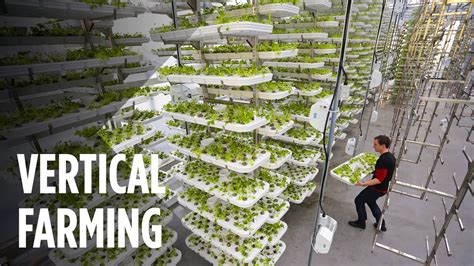 How Vertical Farming Works To Maximize Crop Output While Reducing
