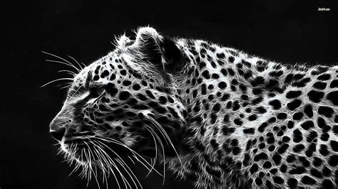 Black Leopard Wallpaper 71 Images