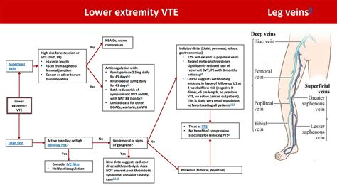 Lower Extremity Venous Thrombosis Management And Grepmed