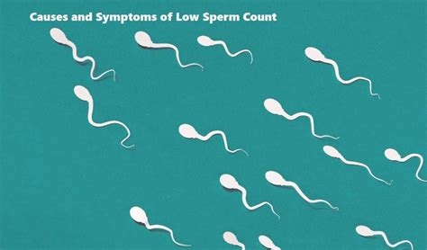 Causes And Symptoms Of Low Sperm Count Makeoverarena