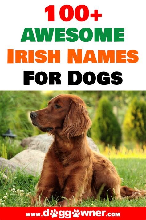 100 Awesome Irish Names For Dogs Irish Names Boy Dog Names Dog Names
