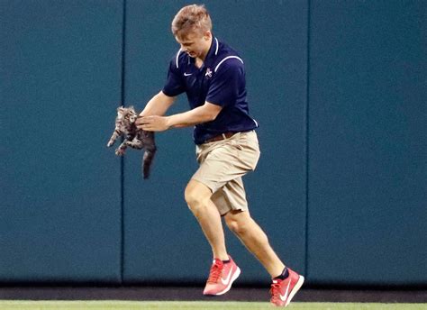 Watch Rally Cat Sneaks Onto Field Moments Before Cardinals Hit Walk