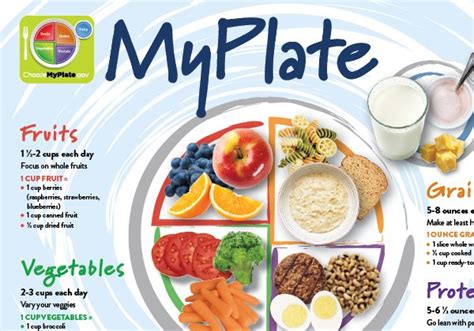 Myplate For Teensadults Poster And Handout United Dairy Industry Of Michigan