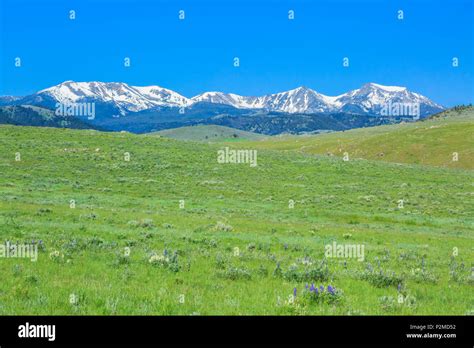 Tobacco Root Mountains High Resolution Stock Photography And Images Alamy