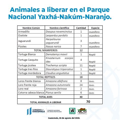Liberarán 70 Animales En El Parque Nacional Yaxhá Nakum Naranjo