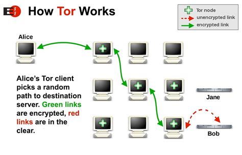 Tor Dark Web Cannazon Link