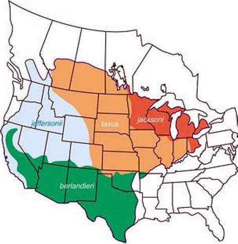American Badger Range Map