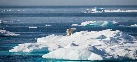 Arktis - Greenpeace
