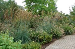 Landscaping Ideas 10 Favorite Ornamental Grasses For Midwest Landscaping