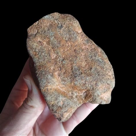 Eucrite Meteorite Achondrite De Vesta Hed Très Joli Xl Catawiki