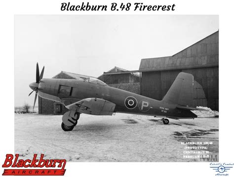 Blackburn B48 Firecrest Colettis Combat Aircraft