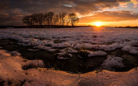 Tapety Zdjęcia Zima Zachód Słońca Pola Drzewa Śnieg