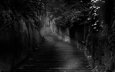 Maybe you would like to learn more about one of these? Top Best 25+ Black Wallpaper | Dark background wallpaper ...