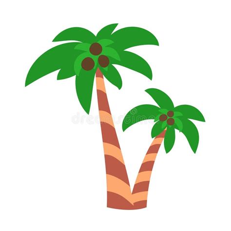 Two Palm Trees With Coconuts Stock Illustration Illustration Of