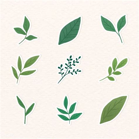 Green Leaves Sticker Collection Vector Premium Image By