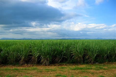 Imagenes De Paisajes De República Dominicana Culturas Religiones Y Creencias