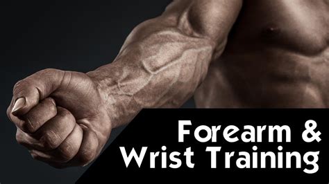 Forearm Workout For Martial Arts Best Forearms Exercises Martial