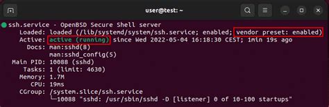 How To Install And Enable Ubuntu Ssh Ionos Ca