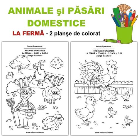 Animale Si Pasari Domestice La Ferma Planse De Colorat