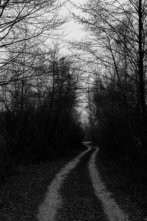 Basically beginner photographers are starting to take up black and. Pin on inspiration
