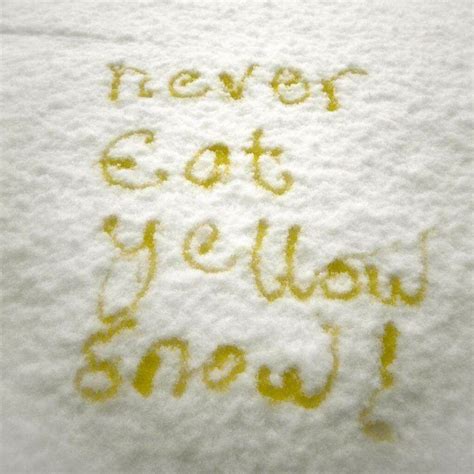 Yellow Snow Memes Imgflip