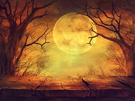 Spooky Moon Backgrounds