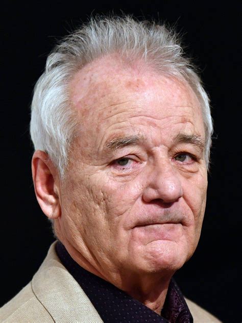 This biography offers detailed information about his childhood, life and timeline. Bill Murray Film Festival: 4 Movies, 4 Nights (Which is ...