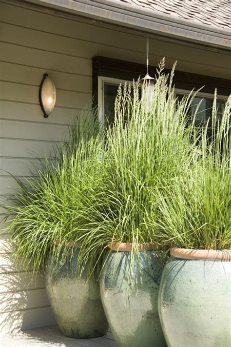 10 Patio Privacy Ideas To Keep Your Neighbors Guessing Garden Lovers