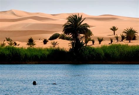 Ubari Lakes The Beautiful Oasis In The Sahara Desert Landscape
