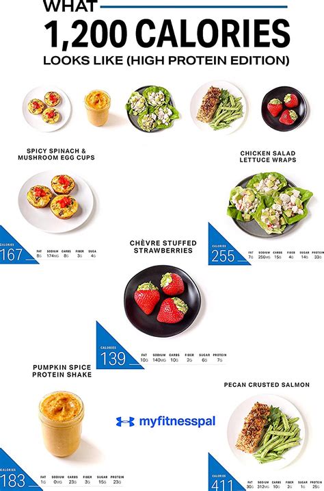 High Protein Meal Plan Printable