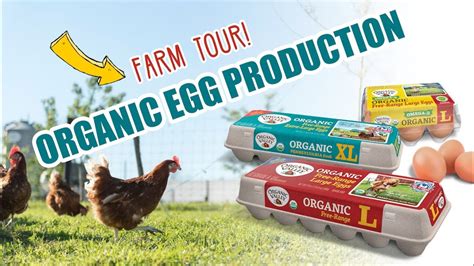 Organic Egg Farm Tours Organic Valley Youtube