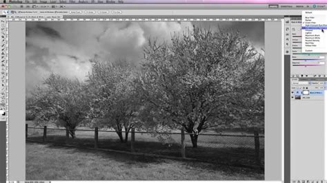 Change Color Image To Black And White Photoshop The Meta Pictures