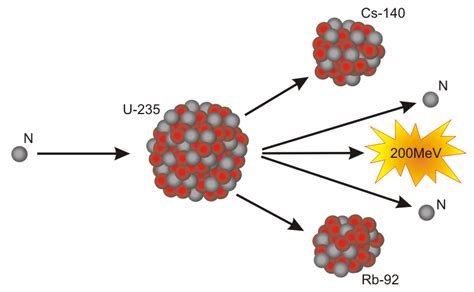 13 fissile nuclides undergo thermal fission stimulated by neutron capture. Will nuclear fission bring world fusion? | Science Buzz