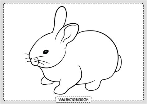 Silueta Conejo Para Colorear Conejos De Pascuas Para Colorear