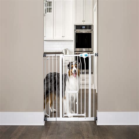 Carlson Extra Wide Walk-Thru Pet Gate & Door